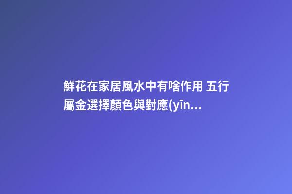 鮮花在家居風水中有啥作用 五行屬金選擇顏色與對應(yīng)的方位風水有